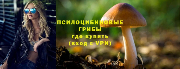 крисы Сатка