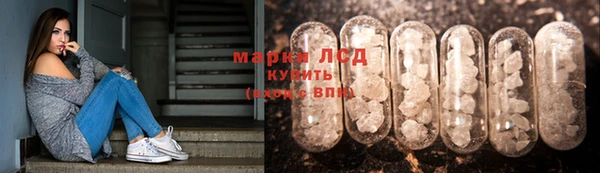 скорость Дубна