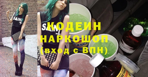 крисы Сатка