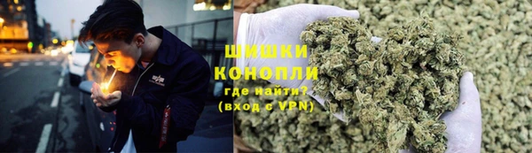 крисы Сатка