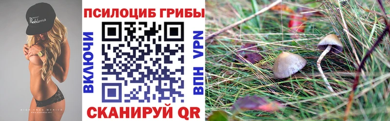 Псилоцибиновые грибы ЛСД Судогда
